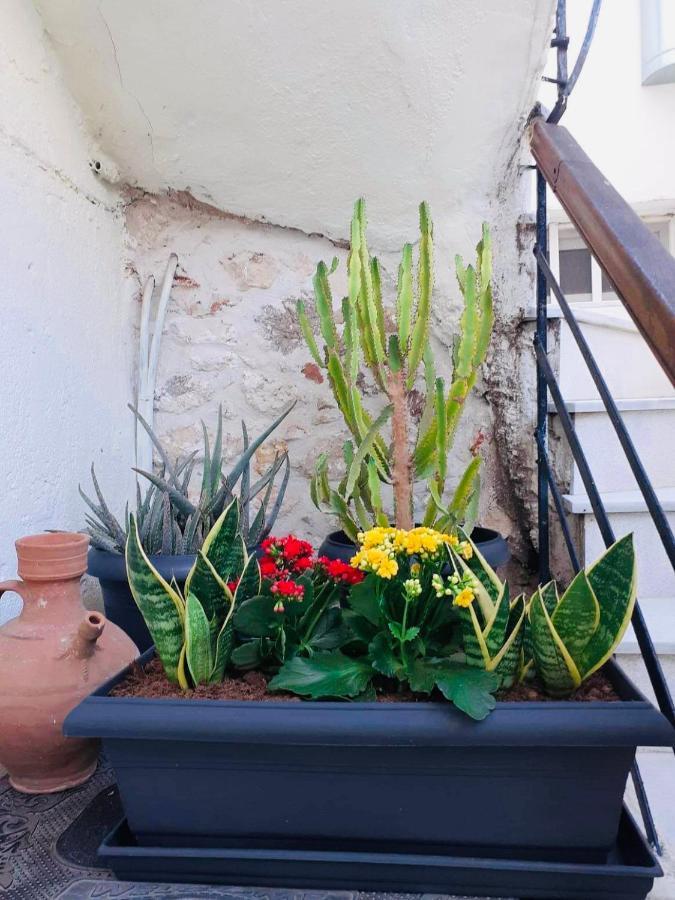 Marianthi'S House Apartment Heraklion  ภายนอก รูปภาพ